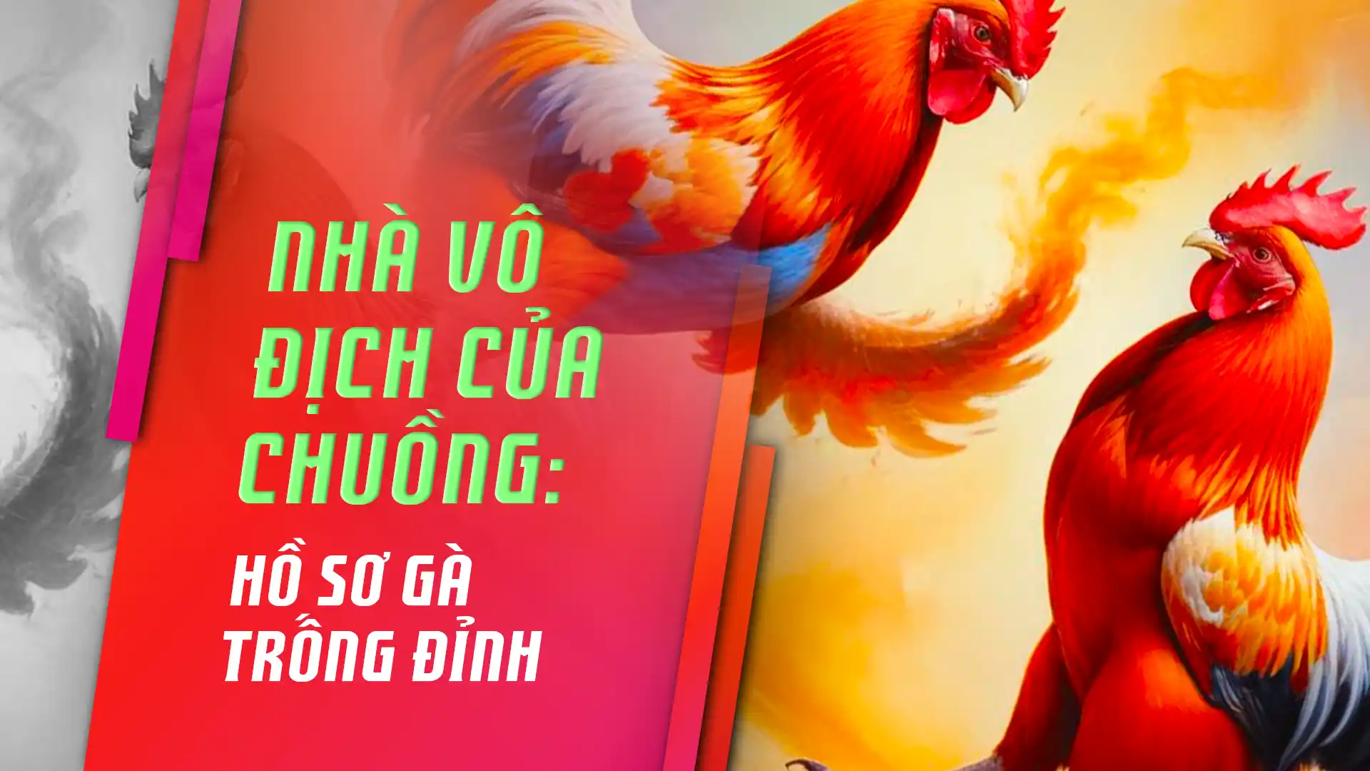 Champion of the Coop: Hồ Sơ Gà Trống Đỉnh Cao